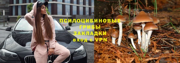 не бодяженный Абинск