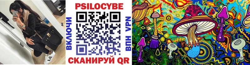 Псилоцибиновые грибы Psilocybine cubensis  сколько стоит  Невельск 